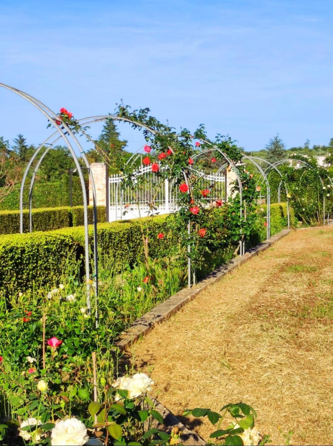 La Casa Di Babette Villa